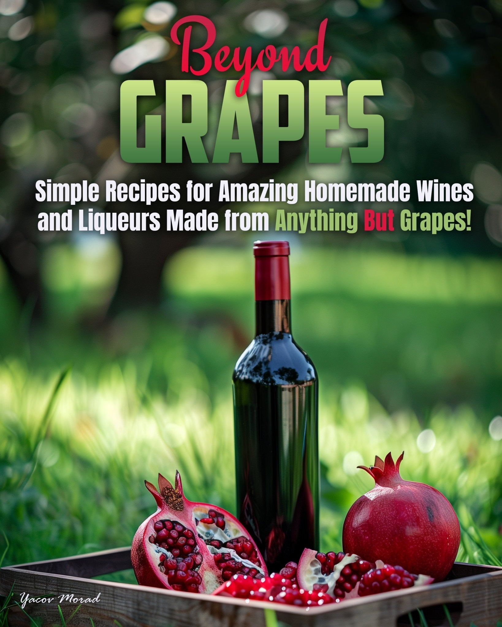 Beyond Grapes: How to Make Wine Out of Anything But Grapes (2nd Edition) - Library Tales Publishing