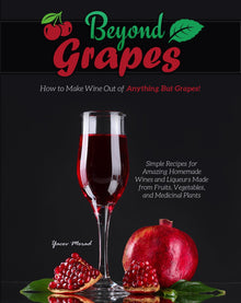 Beyond Grapes: How to Make Wine Out of Anything But Grapes - Library Tales Publishing